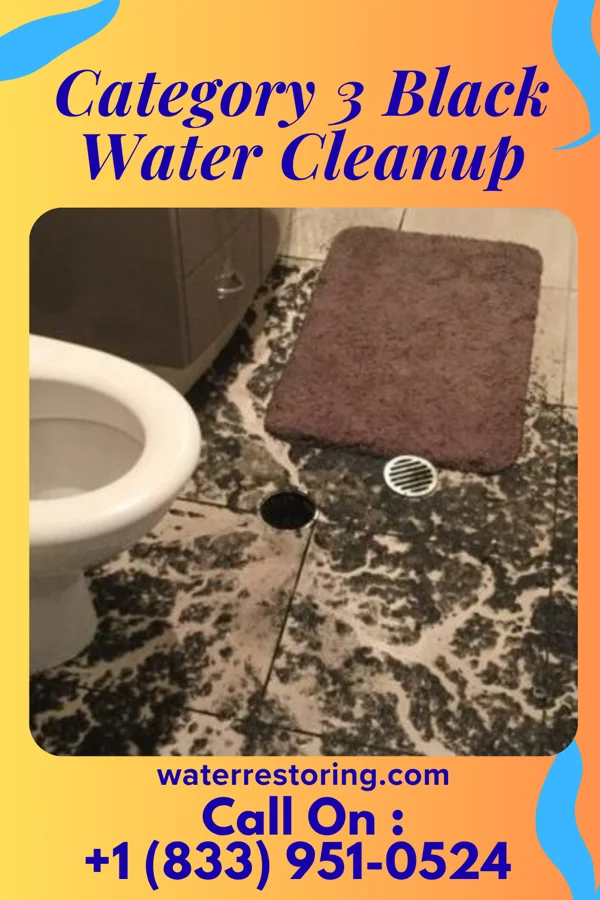 Category 3 Black Water Cleanup in Veneta, OR