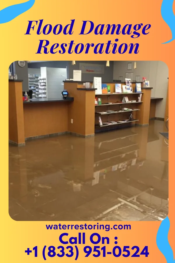 Flood Damage Restoration in Veneta, OR